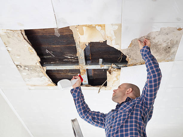 Asbestos and Lead Testing During Mold Inspection in Fort Thomas, KY